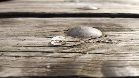 Dropping database objects in a safe way